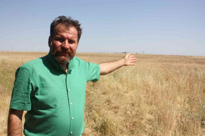 Yangınlar Çiftçinin Geleceğini, Ülkenin Ekonomisini Yok Ediyor