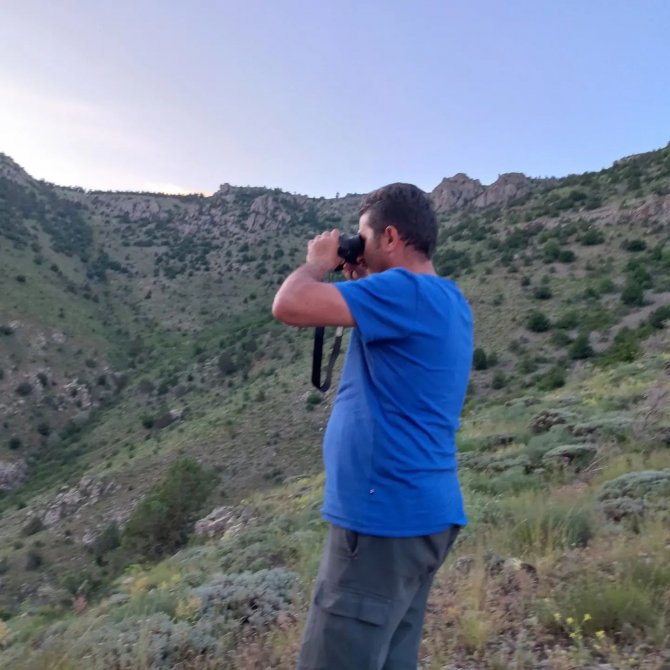 Yavrularını Emziren Anne Ayı Kameralara Takıldı