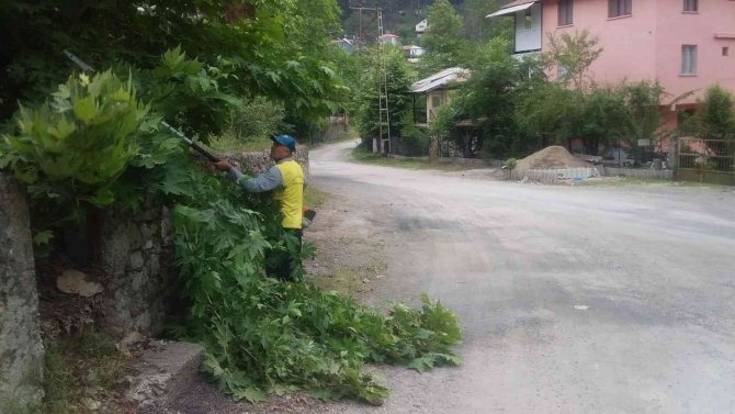 Yayla Sezonu Öncesi Horzum Yaylasında Bakım Çalışmaları Tamamlandı