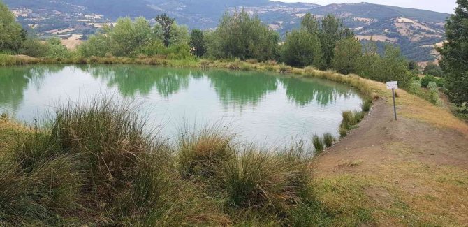 Gurbetçi Kadın Gölette Ölü Bulundu