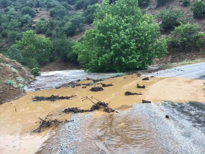 Alaşehir’de Bağları, Meyve Ve Sebze Bahçelerini Dolu Vurdu
