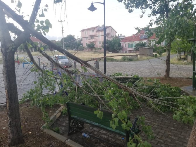 Uşak’ta Şiddetli Fırtına Parktaki Ağaçları Devirdi