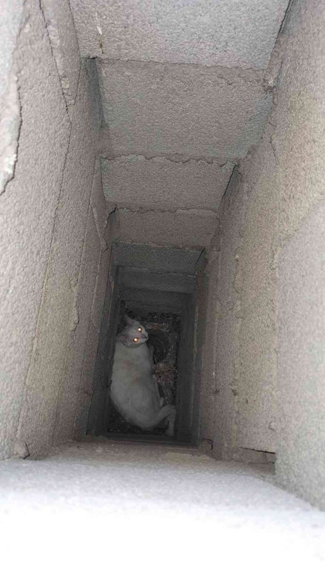 Apartmanın Bacasında Mahsur Kalan Kedi Kurtarıldı