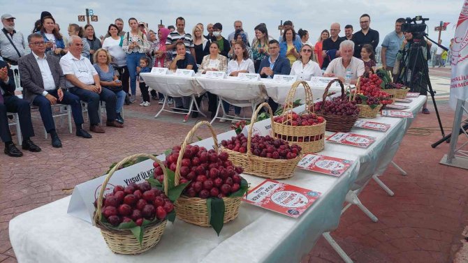 Tekirdağ’da Kiraz Güzellik Yarışması Düzenlendi