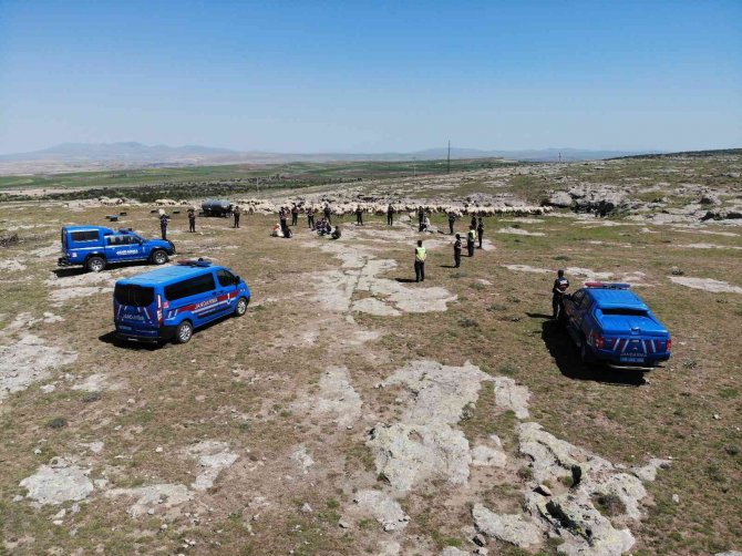 Jandarma Dağlarda Çoban Eğitiminde