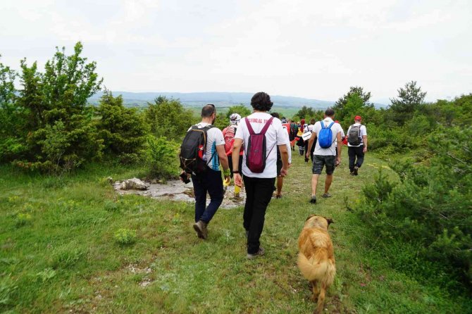 Vatandaşlarla 70 Kilometre Yürüyen Köpek, "İ̇stiklal" İsmini Aldı