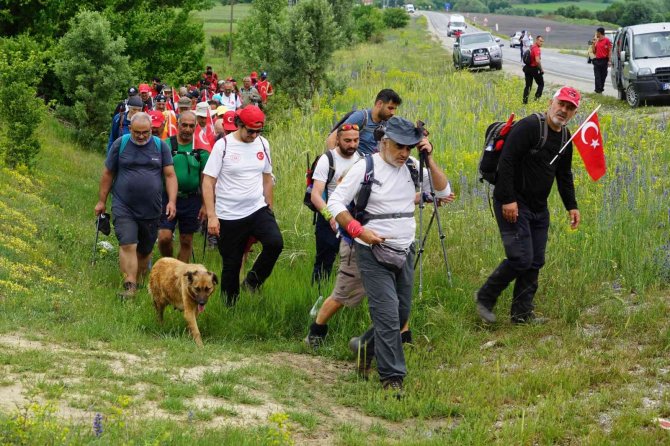 Vatandaşlarla 70 Kilometre Yürüyen Köpek, "İ̇stiklal" İsmini Aldı