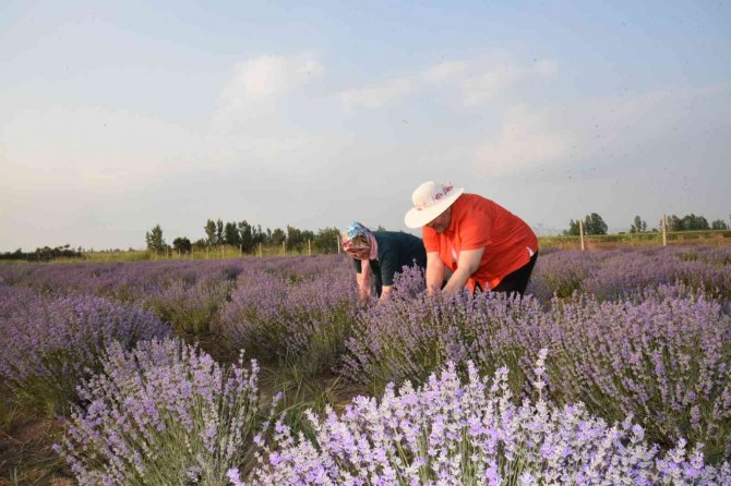 Başkan Erdem’den Kadın Girişimcilere Destek