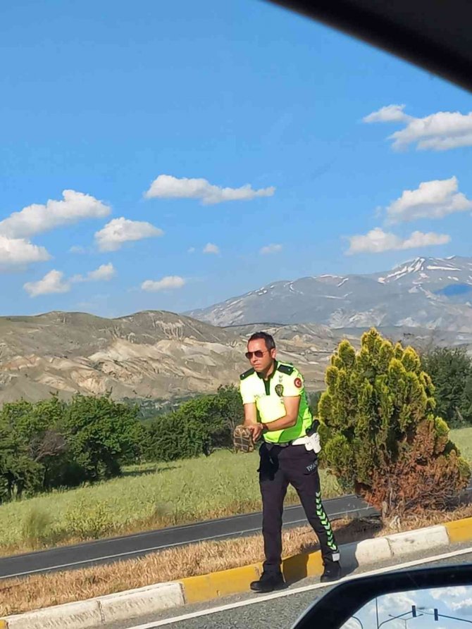 Trafik Polisinden Kaplumbağaya Yardım Eli