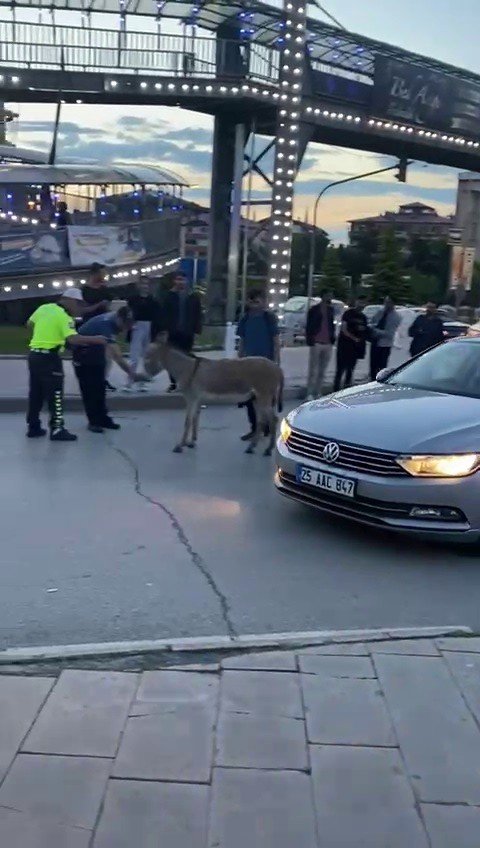 Erzurum’da Güldüren Olay