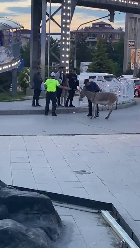 Erzurum’da Güldüren Olay