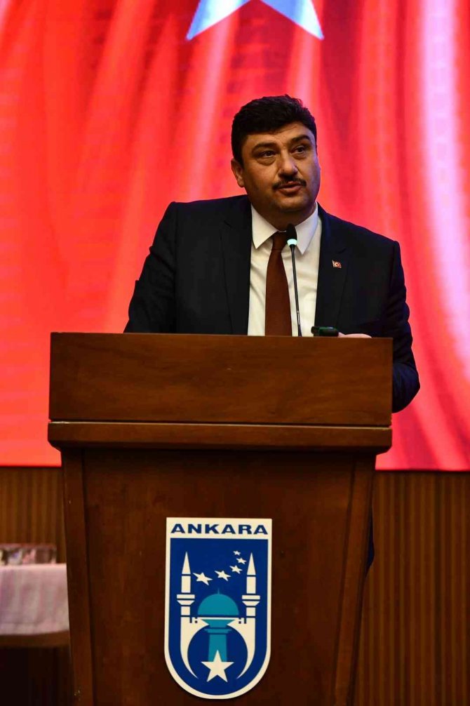 Ölüme Terk Edilen 4 Kurt Yavrusu Yaşama Tutundu
