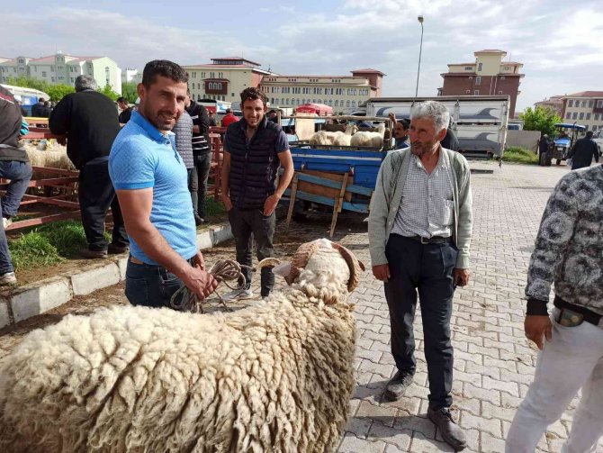 Kurban Bayramı’nın Yaklaşması İle Küçükbaş Hayvan Pazarında Hareketlilik Başladı