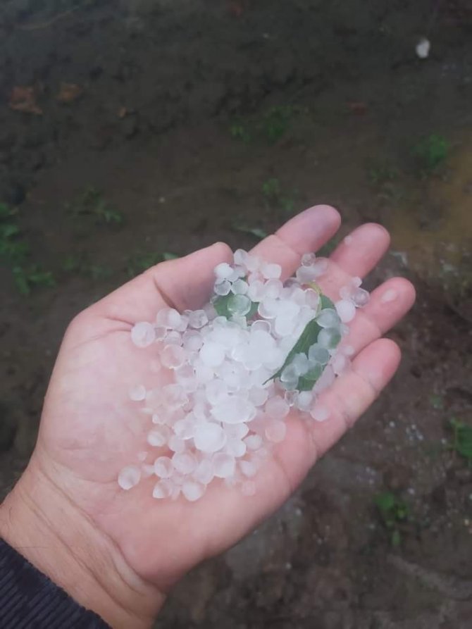 Manisa’da Şiddetli Dolu Yağışı Bağlarda Zarara Yol Açtı