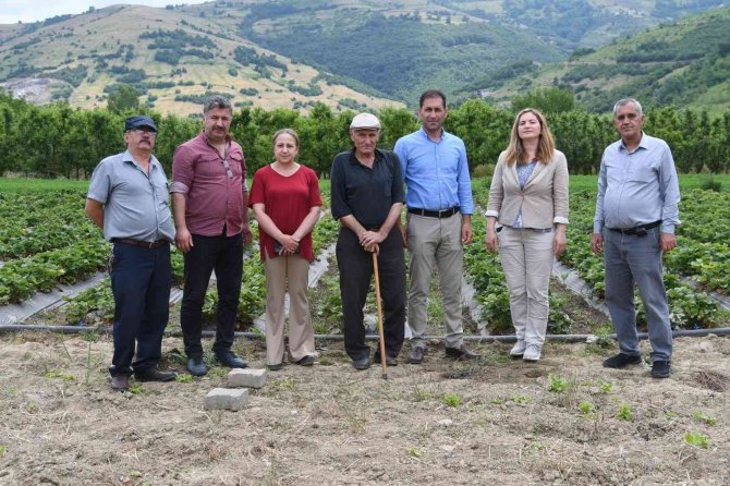 72 Yaşındaki Çilek Üreticisinden Gençlere Çağrı