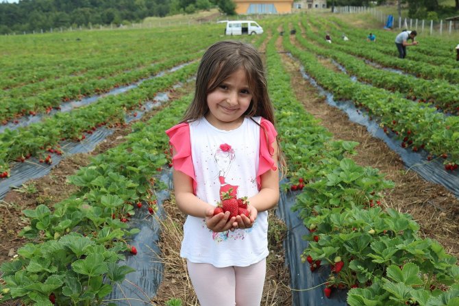 Büyükşehirin Tarım Projeleri Genç Kuşağa Yön Veriyor
