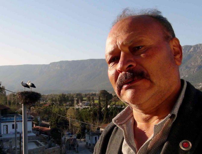 Hayvan Sever Muhtar Leylek Yuvalarını Temizletti