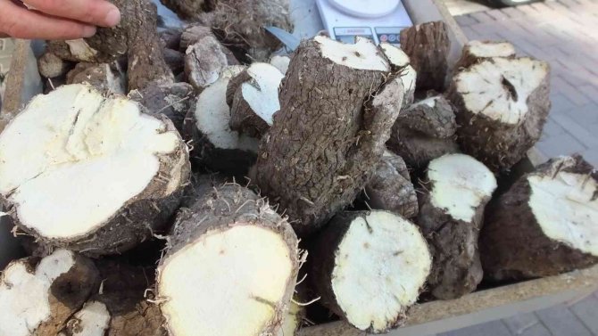 Adem Otu Ankaralı Vatandaşa Geçim Kaynağı Oldu