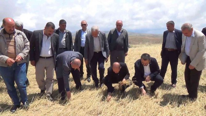 Yüksek Düzeyde Rekolte Bekleniyordu, Tamamı Zarar Gördü: Çiftçilere Destek Yolda