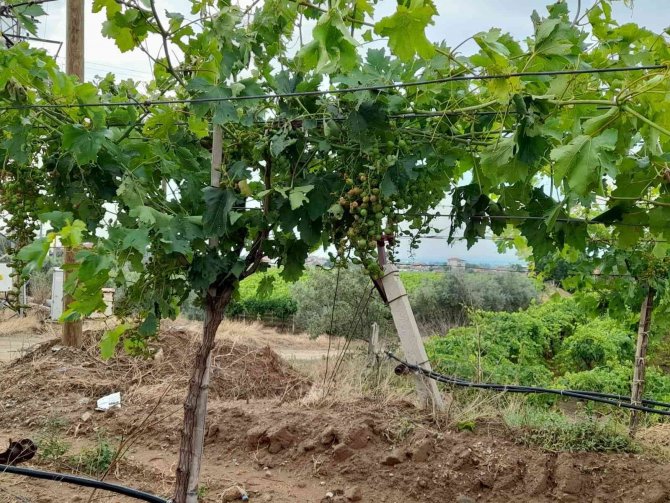 Baybatur’dan Afetzedeleri Rahatlatan Açıklama