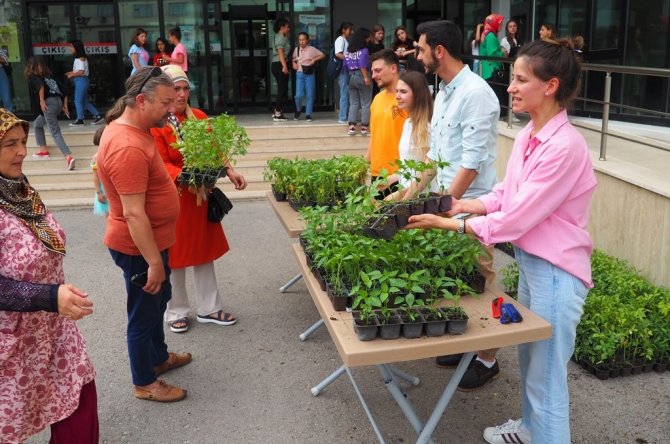 Ata Tohumları, Toprakla Buluşuyor