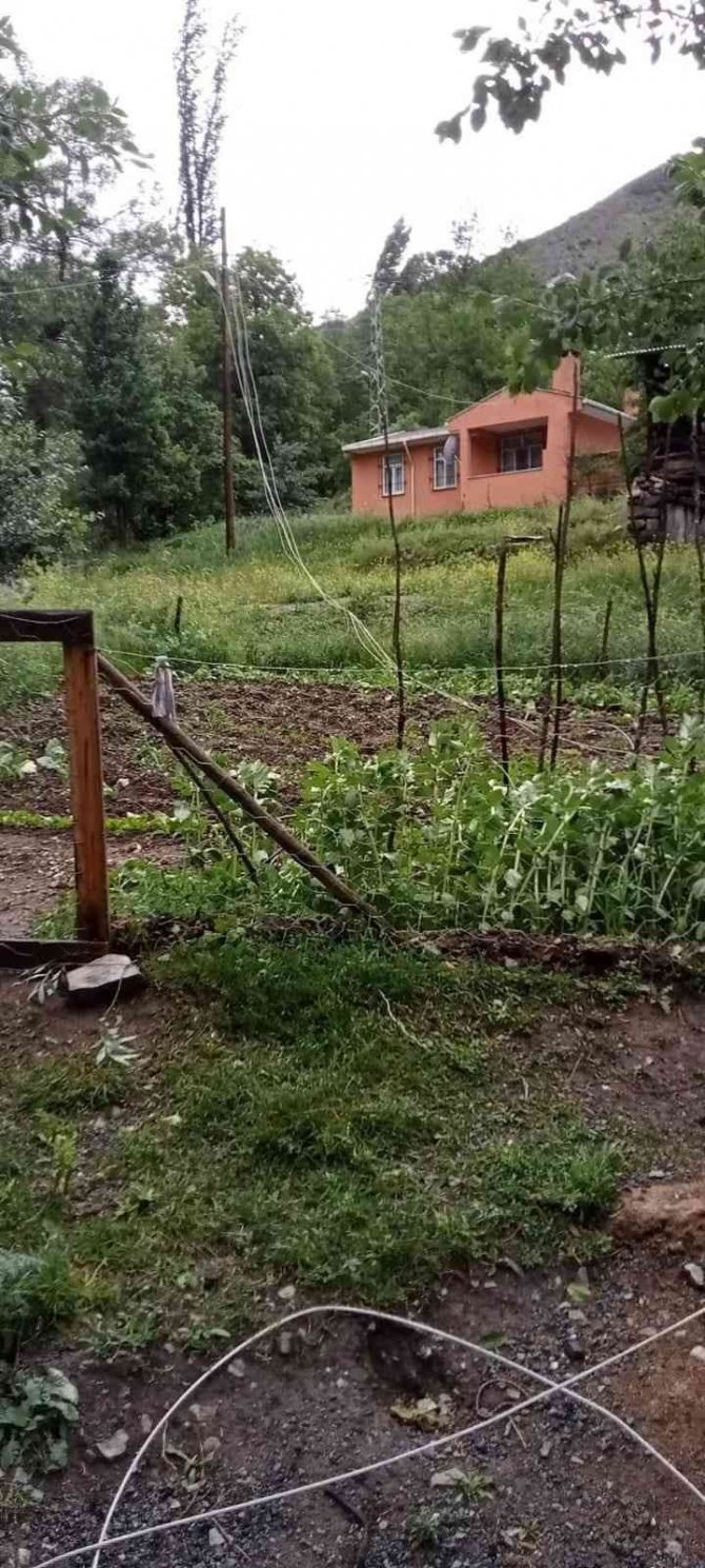 Artvin’de Şiddetli Rüzgar Ağaçları Devirdi, Çatıları Uçurdu