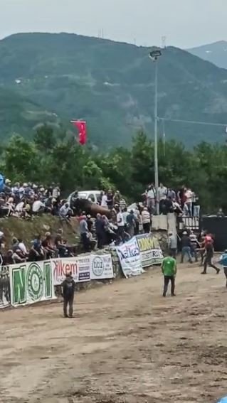 Rakibinden Kaçan Boğa Seyircilerin Bulunduğu Tribüne Daldı