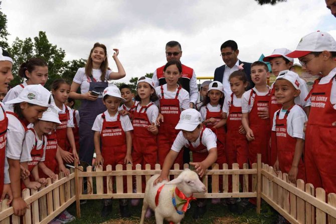 Minik Öğrenciler Tarım Ve Hayvancılığı Çekirdekten Öğreniyor