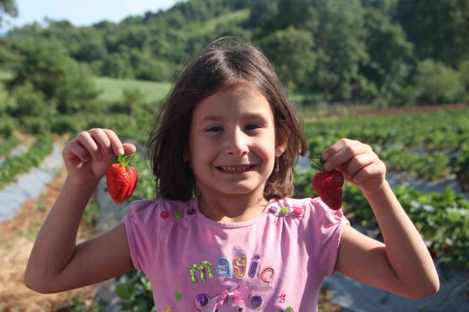 Hobi Olarak Üretmeye Başladı, Şimdi Talebe Yetişemiyor