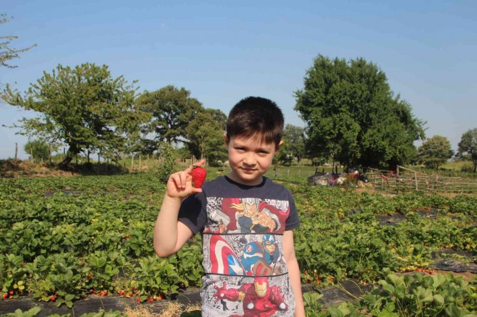 Hobi Olarak Üretmeye Başladı, Şimdi Talebe Yetişemiyor