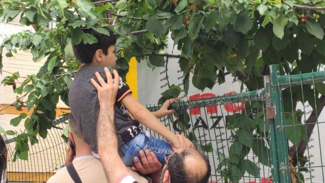 Sultangazi’de Kiraz Ağacından İnerken Kaydı: Çocuğun Eline Demir Çit Saplandı