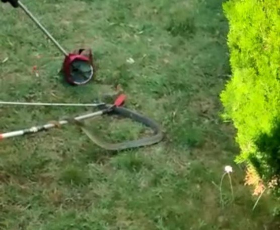 Bursa’da Site Bahçesinde 1.5 Metre Boyunda Yılan Yakalandı