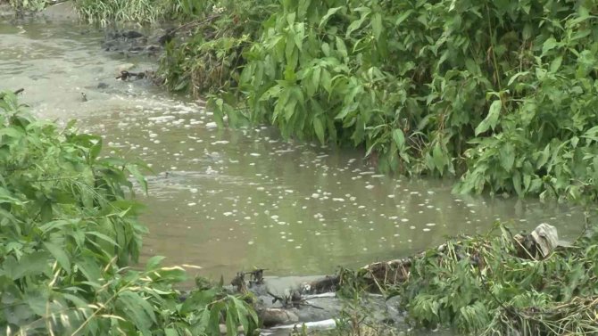 Arnavutköy’de Yol Kenarına Bırakılan Madde Paniğe Neden Oldu