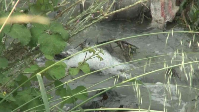 Arnavutköy’de Yol Kenarına Bırakılan Madde Paniğe Neden Oldu