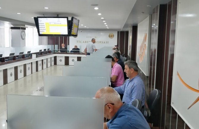 Sungurlu’da İlk Mahsul Borsaya Geldi