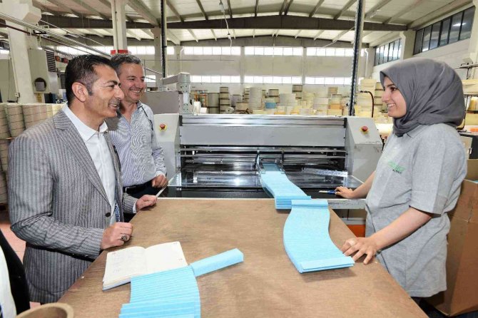 Çardak Osb, Yeni Sektörlerle Hızla Büyüyor