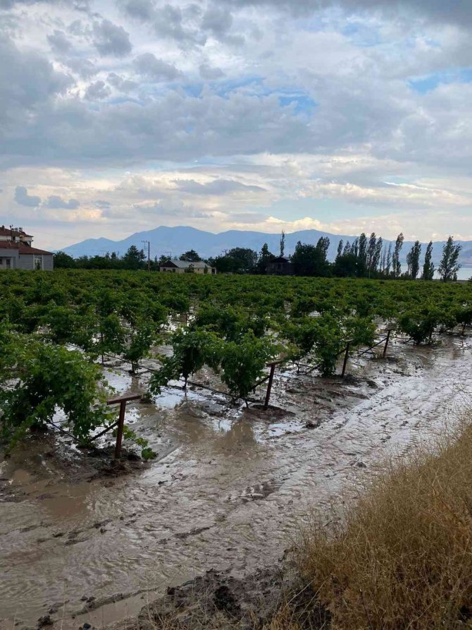 Elazığ’da Tarım Arazilerini Sel Vurdu