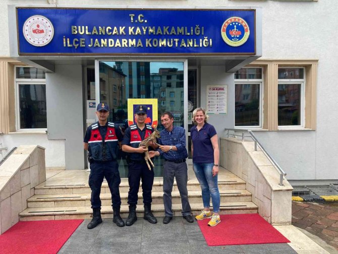 Dolandırıcılıktan 20 Yıl Kesinleşmiş Hapis Cezası Bulunan Şahıs Yakalandı