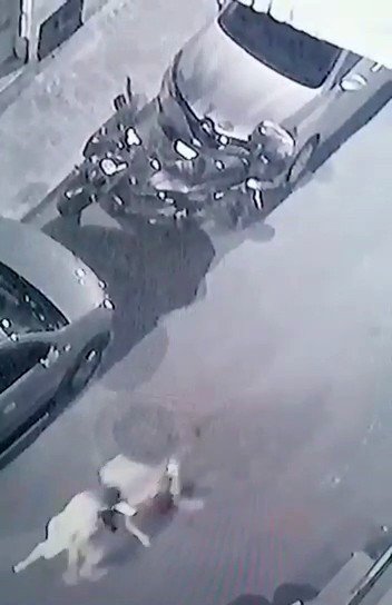Bayrampaşa’daki Pişkin Hırsız Yakalanınca "Çay İçmeye Geldim" Dedi