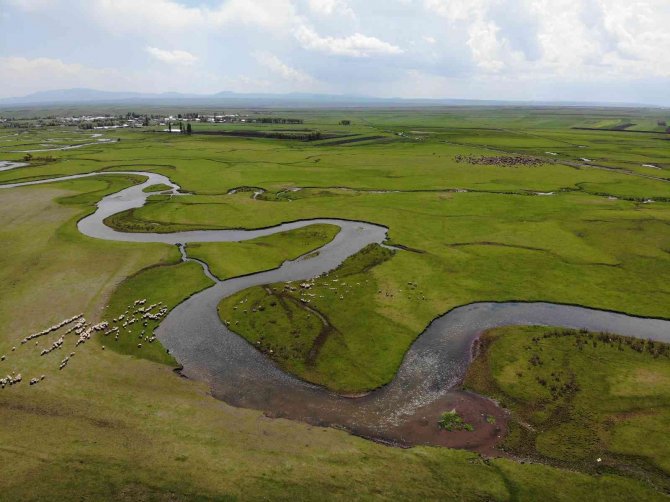 Kars’tan Doğuyor Hazar Denizi’ne Dökülüyor