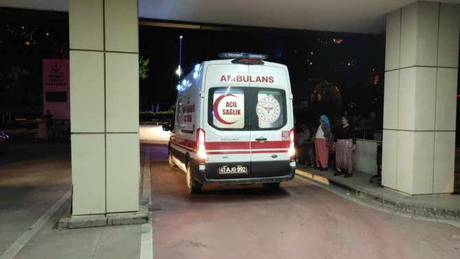 Erik Toplamak İçin Çıktığı Ağaçtan Düşerek Yaralandı