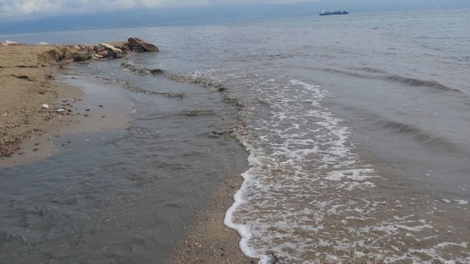 İ̇zmit Körfezi Siyaha Büründü