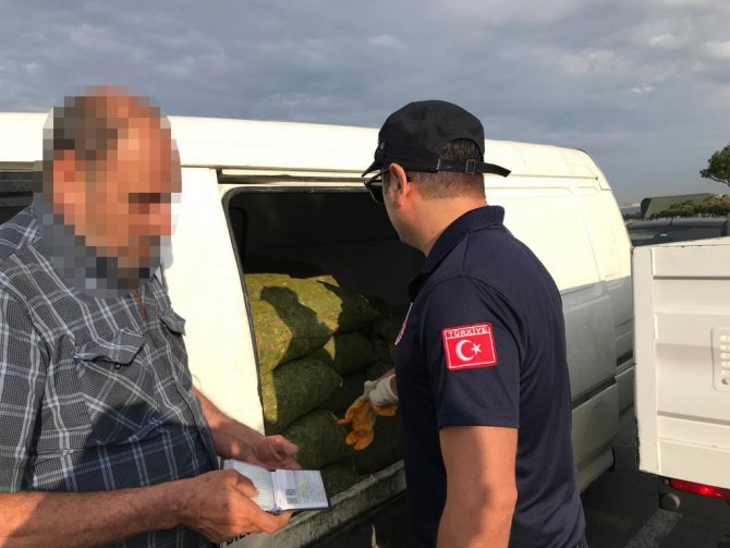 Sahil Hatlarında Kaçak Avlanılan 1,5 Ton Kara Midye Ele Geçirildi
