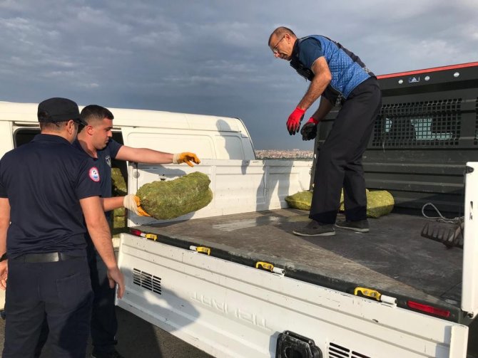 Sahil Hatlarında Kaçak Avlanılan 1,5 Ton Kara Midye Ele Geçirildi