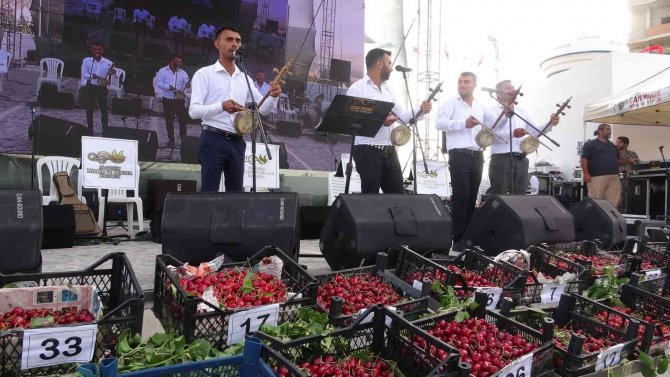 Mardin’de 16. Uluslararası Kültür Sanat Ve Kiraz Festivali Son Buldu