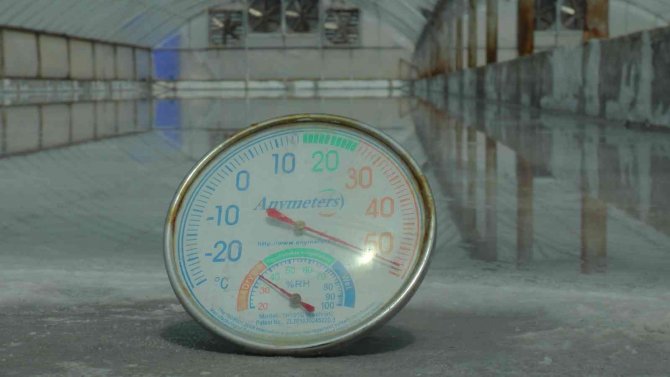 Ukrayna ‘Tuz’ İstiyor