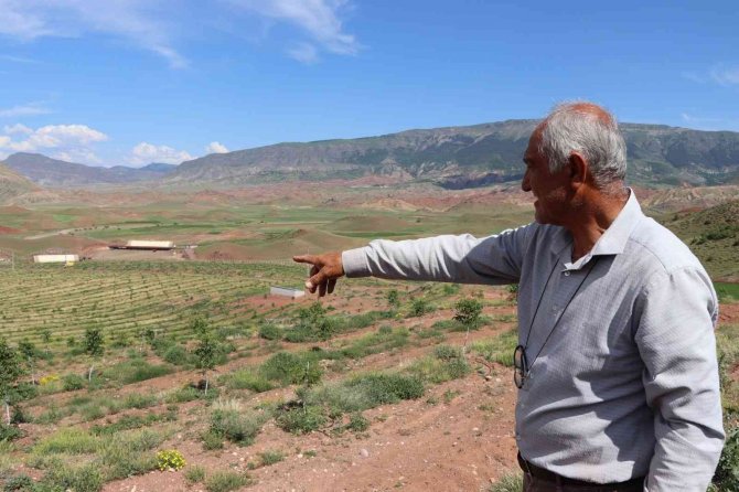 Uzundereli Girişimci, Çorak Topraklara Can Verdi