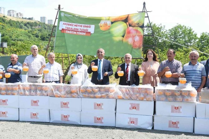 100 Üreticiye 1400 Akdeniz Meyve Sineği Tuzağı Dağıtıldı