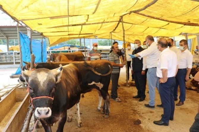 Kurbanlık Hayvan Alış, Satış Ve Kesimlerinde Dikkat Edilecek Hususlar
