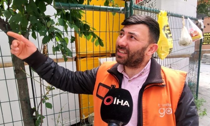 Sultangazi’de Kiraz Ağacından İnerken Kaydı: Çocuğun Eline Demir Çit Saplandı